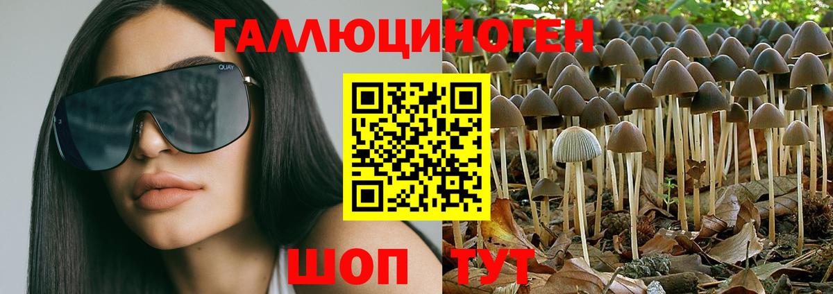 Галлюциногенные грибы ЛСД Мытищи