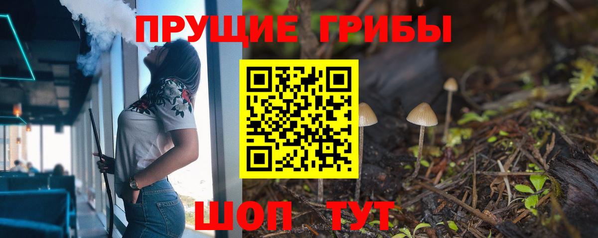 Галлюциногенные грибы GOLDEN TEACHER  где купить наркоту  Мытищи  Вход с VPN 